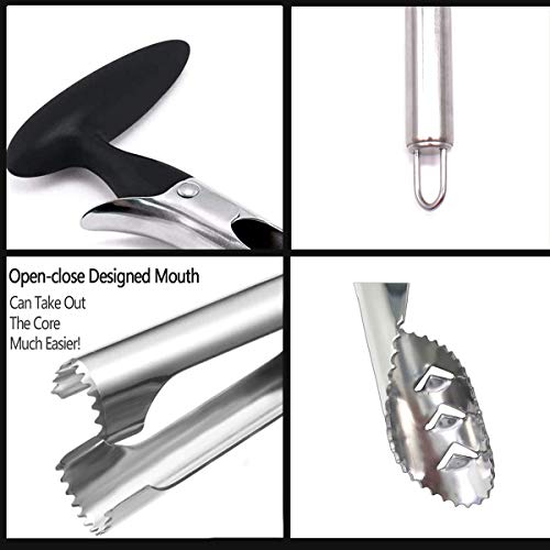 CHENKEE Descorazonador de Manzanas, 3 Piezas Corer De Manzana Acero Inoxidable Removedor Herramienta de eliminación de Semillas de hortalizas con Mango Antideslizante para el hogar y la Cocina
