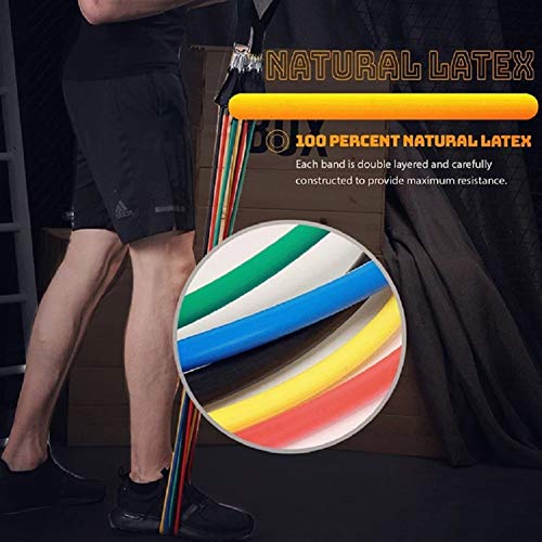 CHYU Bandas de Resistencia, Bandas Elásticas Fitness, 11pcs Gomas Elásticas Musculacion