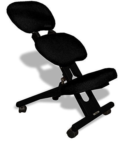 cinius Silla ergonómica Profesional Color Negro con Respaldo