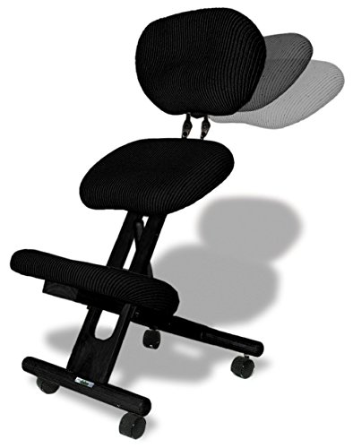 cinius Silla ergonómica Profesional Color Negro con Respaldo
