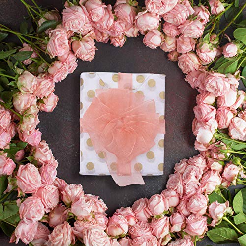 Cinta de Organza (3 Piezas) 45,72 Metros de Largo 3,81cm de Ancho -Chifón Cinta de Lazo Transparente, Cesta e Regalo Envolver, Decoración de Tartas, Artesanía e Regalos de Boda