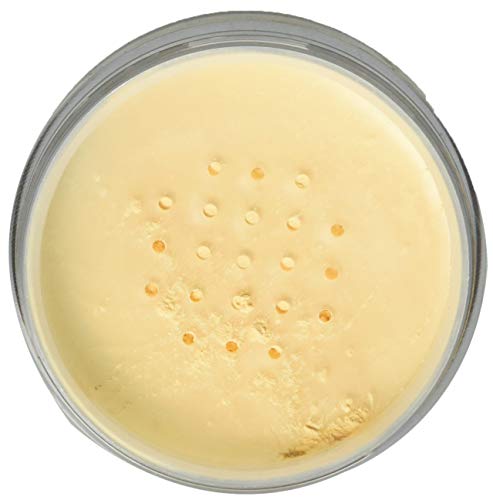 CITY COLOR Banana Powder Matte Finish