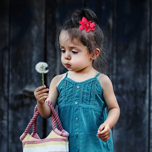 Clip de Pelo Multicolor Hawaianas de Flores de Doble Orquídea Pelo Clips para Lady Mujeres Niñas Wedding Party Nupcial Beach Suministros de Decoración 10 Piezas