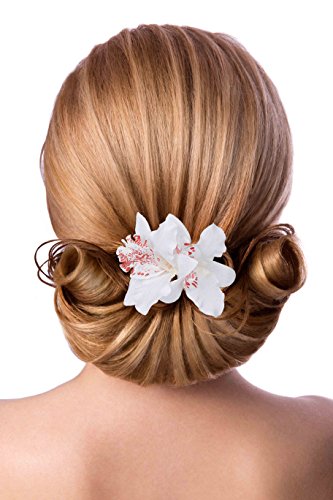 Clip de Pelo Multicolor Hawaianas de Flores de Doble Orquídea Pelo Clips para Lady Mujeres Niñas Wedding Party Nupcial Beach Suministros de Decoración 10 Piezas