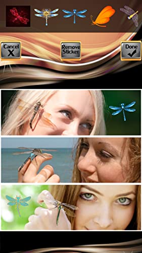 Collage de fotos de libélula