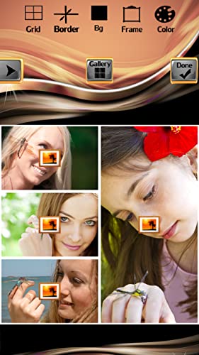 Collage de fotos de libélula