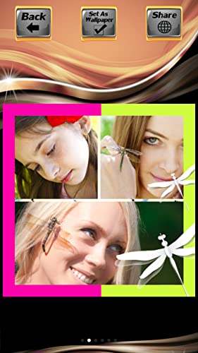 Collage de fotos de libélula