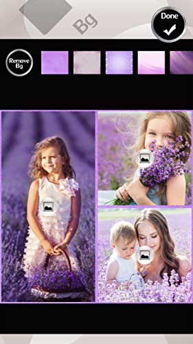 Collage de la foto de la lavanda