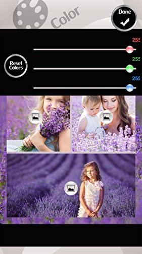 Collage de la foto de la lavanda