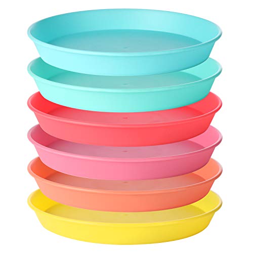 com-four® Juego de Platos de 12 Piezas - Vajilla de Picnic y Parrilla Camping, Viaje, para 12 Personas (12 Piezas - Platos)