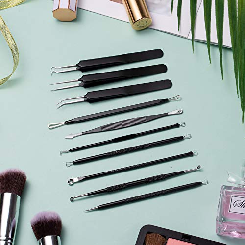 Comius Sharp 10 Piezas Kit de Eliminación de Puntos Negros, Kit Removedor de Espinillas de Acero Inoxidable Profesional con Funda de Cuero, para Eliminar Puntos Blancos (Negro)