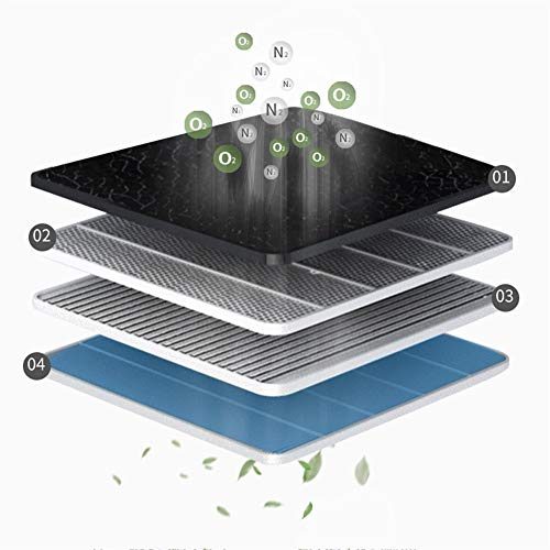 Concentrador de oxígeno en el hogar de ancianos concentrador de oxígeno portátil de la mujer embarazada Pequeño atomización del anión de la máquina Función de oxígeno, 220V Terapia de oxigeno