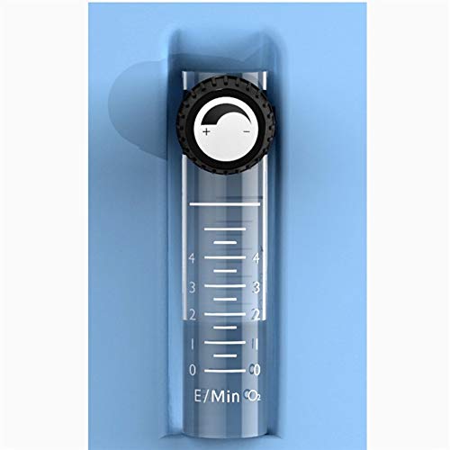 Concentrador de oxígeno en el hogar de ancianos concentrador de oxígeno portátil de la mujer embarazada Pequeño atomización del anión de la máquina Función de oxígeno, 220V Terapia de oxigeno