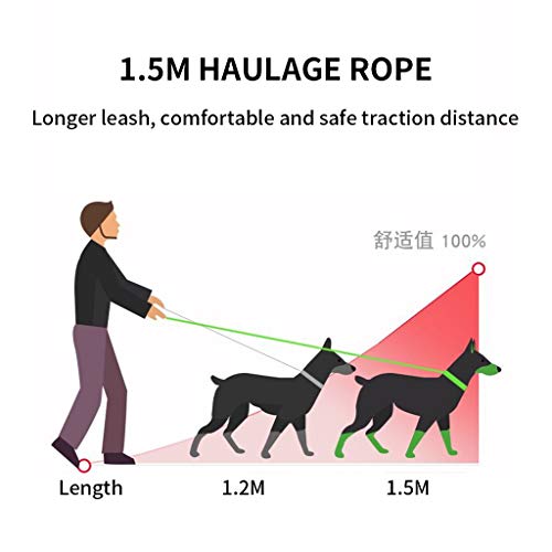 Coriver Conjunto de arnés y Correa para Gato, Chaleco para Perros Chaqueta con Correas para el Pecho Reflectante para Gatos, Resistente al Escape sin estrangulamiento para Mascotas(S,Blue)