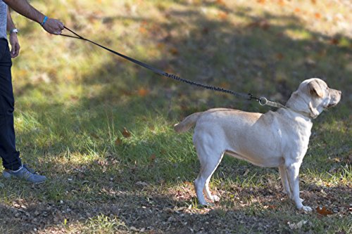 Correa de perro elástica, para absorción de tirones, ajustable y resistente, con mango cómodo
