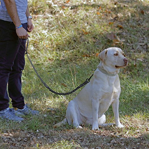Correa de perro elástica, para absorción de tirones, ajustable y resistente, con mango cómodo