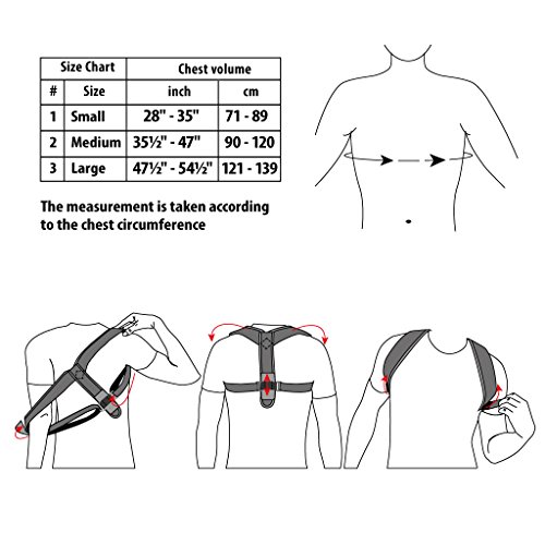 Corrector postural “Gracia”; soporte terapéutico ajustable para el cuello y la espalda; para la clavícula; Corsé Ortopédico para Escoliosis Cifosis; Alivio del Dolor de Espalda Medium