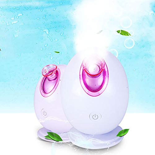 CSFM-Face Morado Ion Profesional Facial Steamer Sauna Niebla Vapor Inhalador Humidificador SPA Casero Personal Tratamiento Espinillas Piel Grasa Acné Incluye Inhalador para Boca Y Nariz