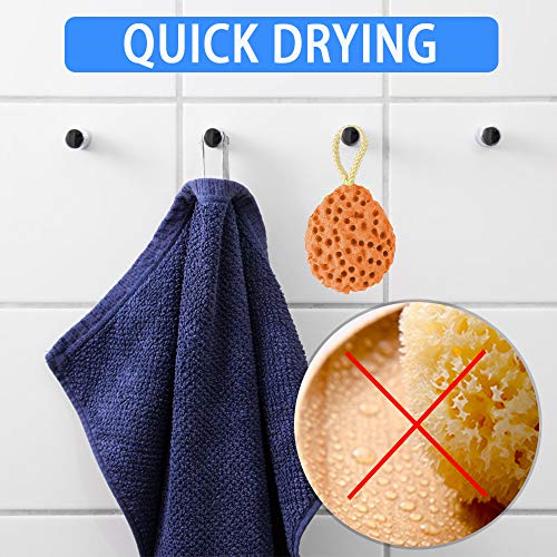 Dadabig 5 Piezas Esponjas de Baño Naturales Esponja Hidrofílica Esponjas de Ducha Súper Suave para Limpieza Corporal del Bebé Mujeres Hombres,4 Colores
