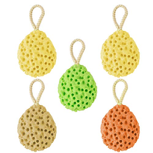 Dadabig 5 Piezas Esponjas de Baño Naturales Esponja Hidrofílica Esponjas de Ducha Súper Suave para Limpieza Corporal del Bebé Mujeres Hombres,4 Colores