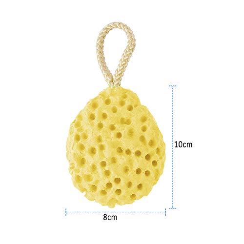 Dadabig 5 Piezas Esponjas de Baño Naturales Esponja Hidrofílica Esponjas de Ducha Súper Suave para Limpieza Corporal del Bebé Mujeres Hombres,4 Colores