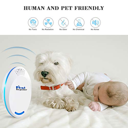 DANGZW Repelente Ultrasonico, Electrónico Repelente Mosquitos Insectos para Interiores Anti Cucarachas, Moscas, Mosquitos, Ratones, Arañas,100% Inofensivo para Mascotas y Humanos (Blanco)