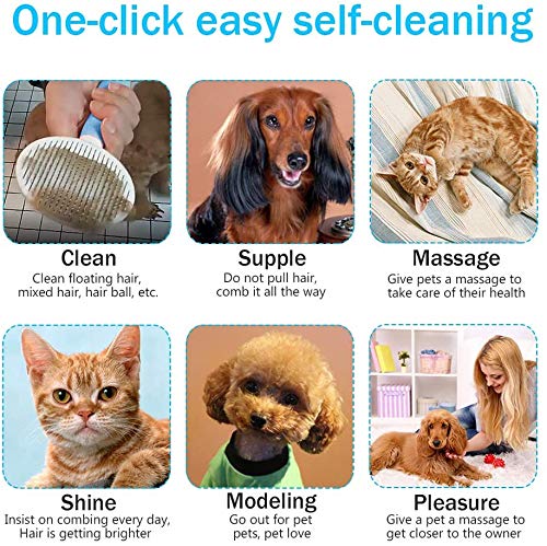 DAOXU Cepillo de Mascota de Cepillo de Gato para Eliminar El Pelo de Mascota Suelto El Cepillo de Masaje de Mascota Se Puede Limpiar Automáticamente (Azul)