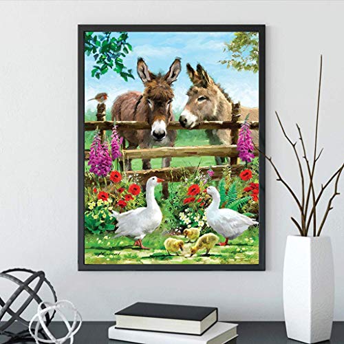 DCIDBEI 5D Pintura Diamante,DIY Pintura al oleo por numeros Adultos,Animales de Granja Pintura para Cristal Cuadros Punto de Cruz Diamante Manualidades decoración de la Pared para el hogar 30x40cm