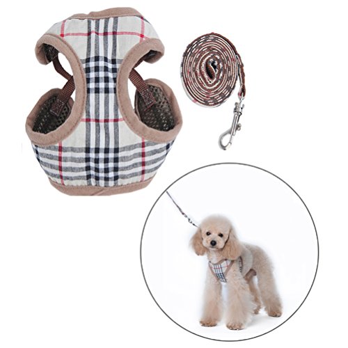 D&D DD Arnes Perro Pequeño, Suave Cómodo Arnes con Correa para Perros Pequeño Mascotas Gatos Cachorros Enrejado M