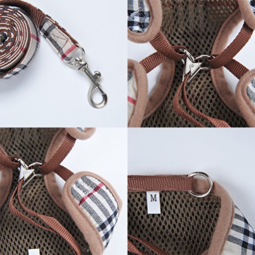D&D DD Arnes Perro Pequeño, Suave Cómodo Arnes con Correa para Perros Pequeño Mascotas Gatos Cachorros Enrejado M