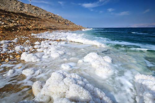 Dead Sea Minerals Day Cream 60ml Made in Jordan/Crema de Día de Minerales del Mar Muerto 60 ml Hecho en Jordania