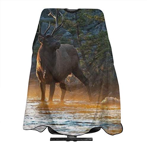Deer Water Nature River - Capa profesional de peluquería, delantal de corte de pelo de poliéster para peluquería, peluqueros y barberos para hombres y mujeres, 55 x 66 pulgadas
