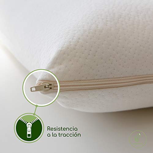 Desconocido Almohada Visco Vegetal 100% ECOLÓGICA Fabricada en la CEE (60_x_60_cm)