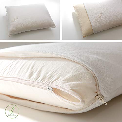 Desconocido Almohada Visco Vegetal 100% ECOLÓGICA Fabricada en la CEE (60_x_60_cm)