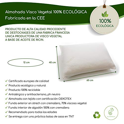 Desconocido Almohada Visco Vegetal 100% ECOLÓGICA Fabricada en la CEE (60_x_60_cm)