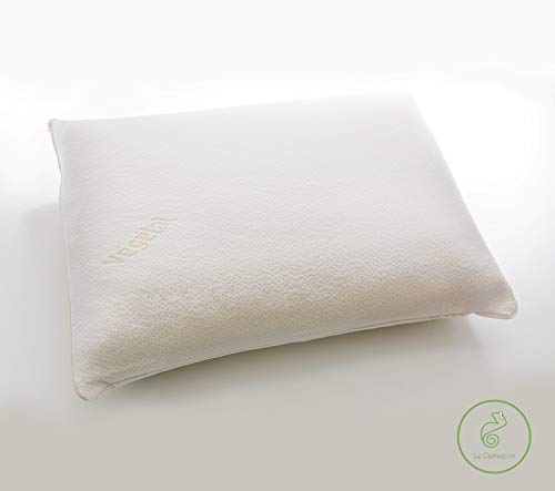 Desconocido Almohada Visco Vegetal 100% ECOLÓGICA Fabricada en la CEE (60_x_60_cm)