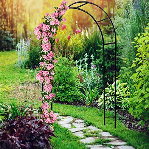 Deuba Arco Rosales y Plantas trepadoras enredadoras Metal pulverizado 240x140cm para jardín Exterior Eventos decoración