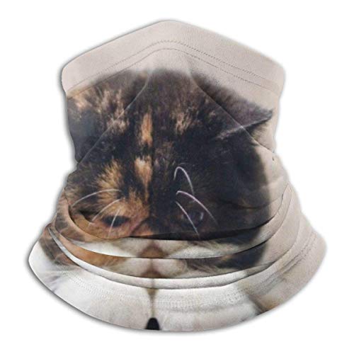 DFGHG Camping Senderismo Ropa Hombre Sombreros Sombreros Sombreros multifuncionales blog_yummypets_chat_triste2_04_14 Unisex Microfiber Neck Warmer Headwear Face Scarf Mask For Winter Cold Weather Mas