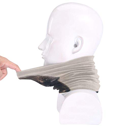 DFGHG Camping Senderismo Ropa Hombre Sombreros Sombreros Sombreros multifuncionales blog_yummypets_chat_triste2_04_14 Unisex Microfiber Neck Warmer Headwear Face Scarf Mask For Winter Cold Weather Mas