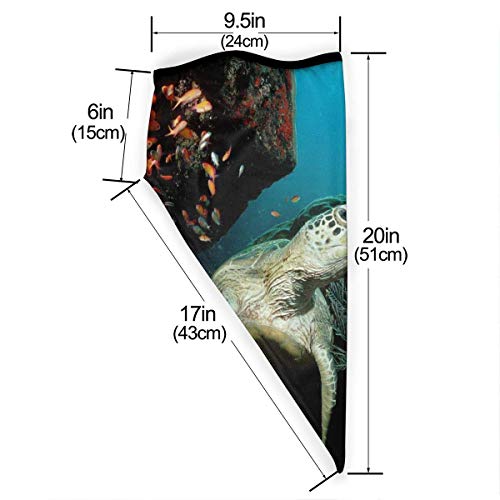 DFGHG Máscara y respirador Máscara antipolvo plegable Protección facial Alergia antipolen Windproof Sports Mask Sea Turtle Marine Animal Theme Unisex Outdoor Mask Face Neck Gaiter Face Scarf Bandana M