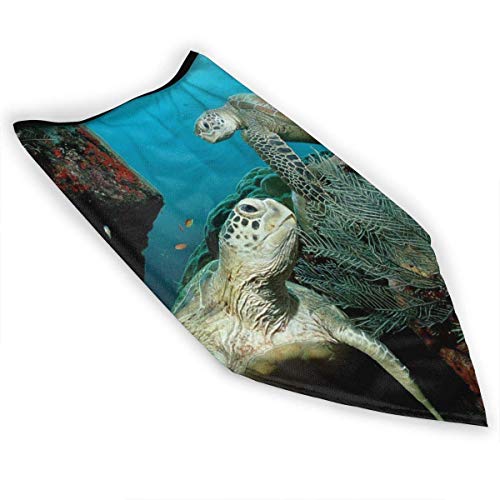 DFGHG Máscara y respirador Máscara antipolvo plegable Protección facial Alergia antipolen Windproof Sports Mask Sea Turtle Marine Animal Theme Unisex Outdoor Mask Face Neck Gaiter Face Scarf Bandana M