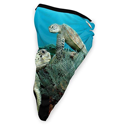DFGHG Máscara y respirador Máscara antipolvo plegable Protección facial Alergia antipolen Windproof Sports Mask Sea Turtle Marine Animal Theme Unisex Outdoor Mask Face Neck Gaiter Face Scarf Bandana M