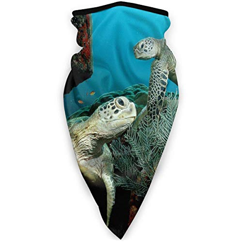 DFGHG Máscara y respirador Máscara antipolvo plegable Protección facial Alergia antipolen Windproof Sports Mask Sea Turtle Marine Animal Theme Unisex Outdoor Mask Face Neck Gaiter Face Scarf Bandana M