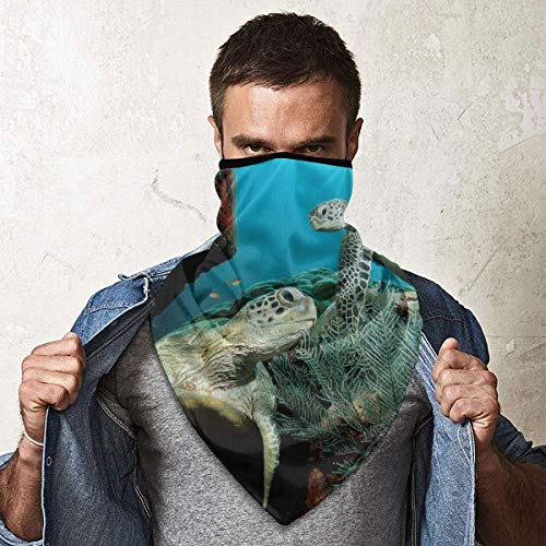 DFGHG Máscara y respirador Máscara antipolvo plegable Protección facial Alergia antipolen Windproof Sports Mask Sea Turtle Marine Animal Theme Unisex Outdoor Mask Face Neck Gaiter Face Scarf Bandana M