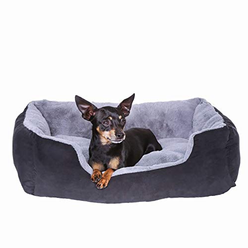 Dibea Cama Perros Cojín Perros Cesta Perros con Cojín Tamaño S Gris/Negro 1 Unidad 500 g