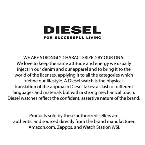 Diesel Reloj Cronógrafo para Hombre de Cuarzo con Correa en Acero Inoxidable DZ4466