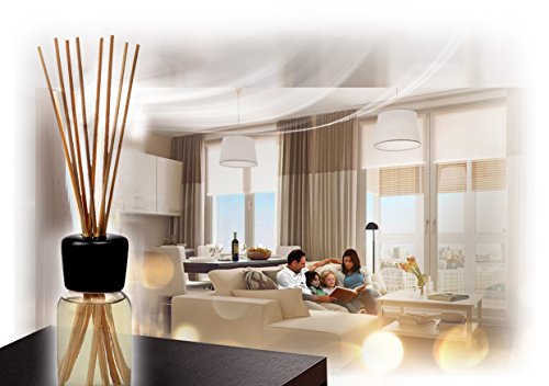 Difusor Aromas de Love Is In The Air 100ml - Fragancia para el Amor con Aceite Puro de Ylang Ylang Natural para Cuartos - Restaurantes - Aromaterapia - con 8 palitos de bambú - 0% Alcohol