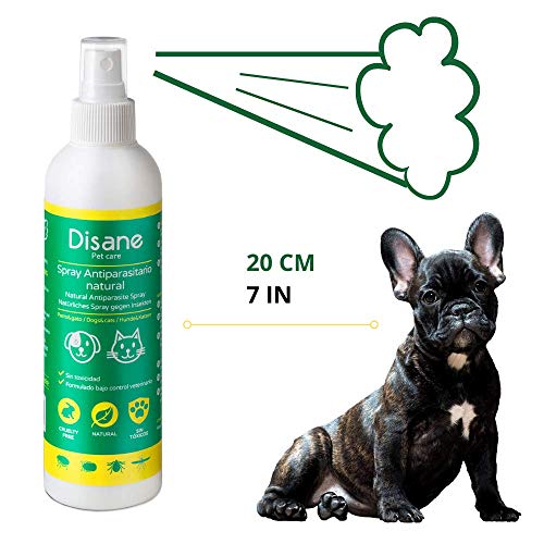 Disane Spray Antiparasitario para Perros y Cachorros Natural | Antipulgas 250ml| Repelente de Insectos: Pulgas, Garrapatas, Piojos y Mosquitos (Leishmania) | Pulverizar Sobre el Perro Antes del Paseo