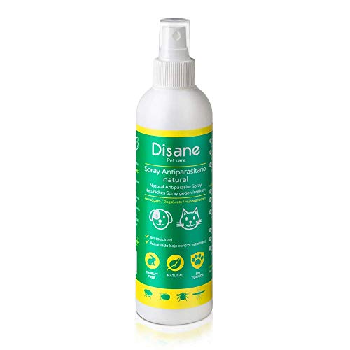 Disane Spray Antiparasitario para Perros y Cachorros Natural | Antipulgas 250ml| Repelente de Insectos: Pulgas, Garrapatas, Piojos y Mosquitos (Leishmania) | Pulverizar Sobre el Perro Antes del Paseo