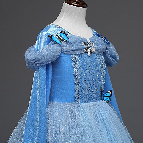 Disfraz Cenicienta Niña Cinderella Dress Princesa Carnaval Traje de Princesa para Halloween Navidad Fiesta Cumpleaños Cosplay Mariposa Costume para Niñas Bebé Chicas 3-9 Años 8-9 Años
